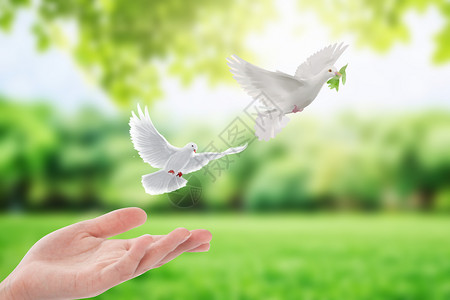 日本和平公园创意环保放飞白鸽设计图片