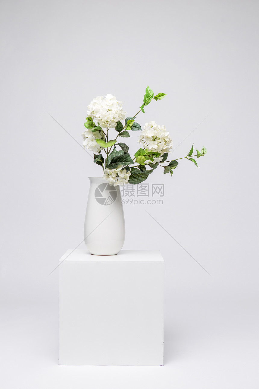 鲜花家居白色静物素材图片