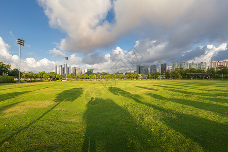 足球场背景图城市绿地背景