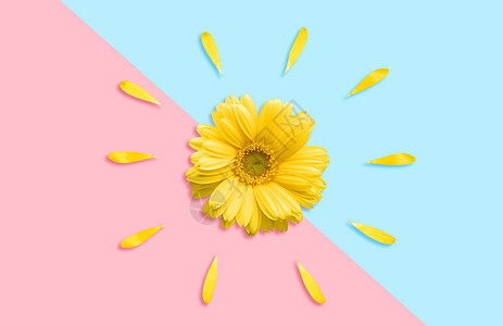 飞舞黄色花瓣小清新雏菊设计图片