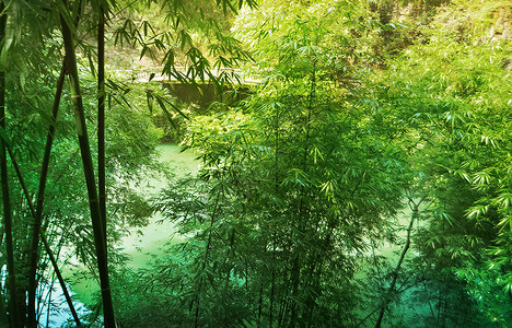 山水人家画册封面三峡人家风景区一角背景