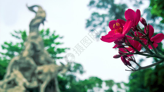 朵朵开广州五羊石像背景