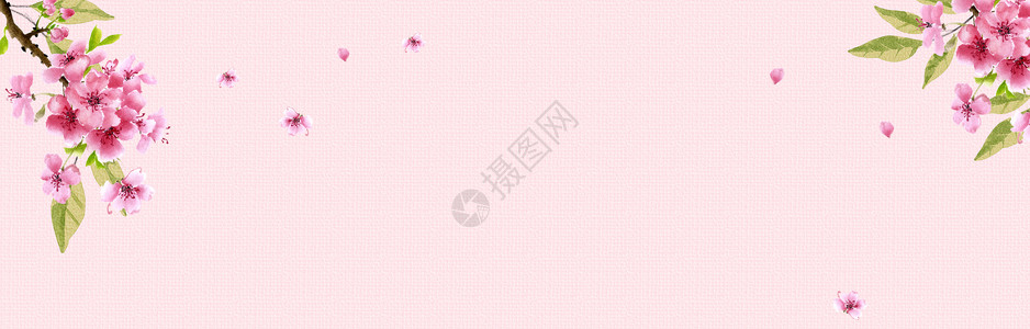 粉色樱花海报花瓣背景背景