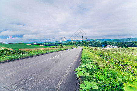 日本北海道美瑛拼布之路高清图片