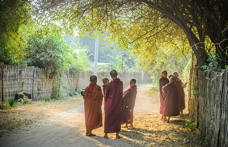 缅甸僧侣缅甸蒲甘高清图片