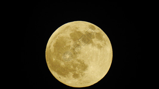 满月时候的金色月亮背景图片