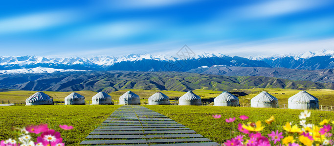 草原上的格桑花雪山下的蒙古包背景