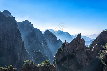 峭壁挂松安徽黄山背景