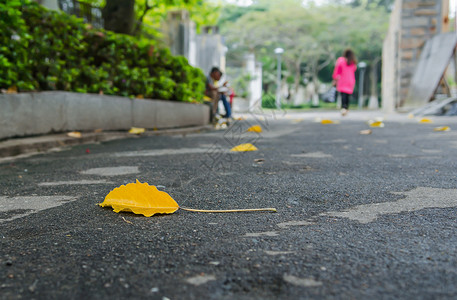 街边路面上的图片