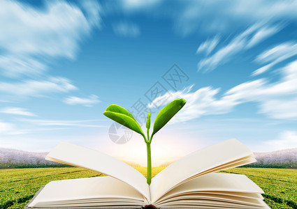 树林草坪书和蓝天白云设计图片