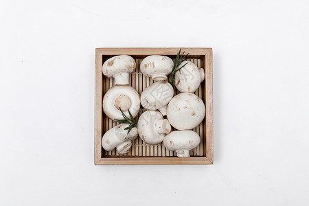 木架木箱素材清新的蘑菇摆拍背景