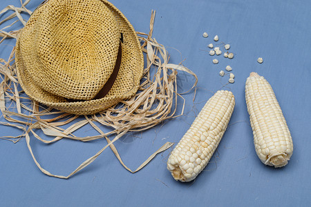 收货季节创意玉米造型摆拍背景