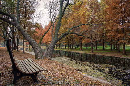 森林公园河边座椅图片