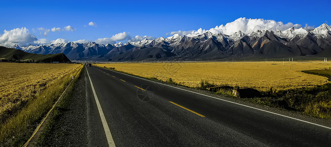 青海门源雪山下的公路背景图片