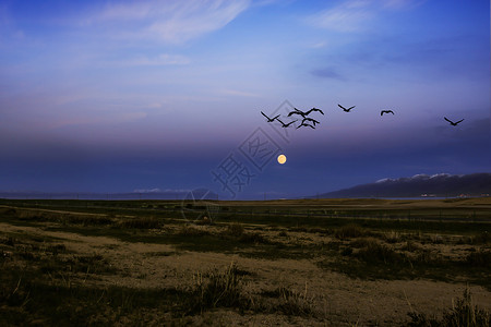 月夜背景中秋节青海湖月色背景