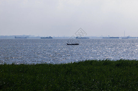长江上的各种船只背景图片