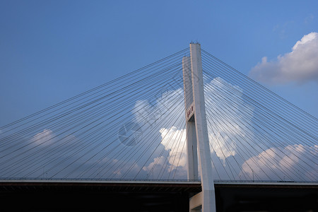 上海好天气下的南浦大桥图片