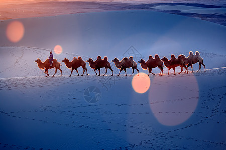 逆光风景沙漠里的驼队背景