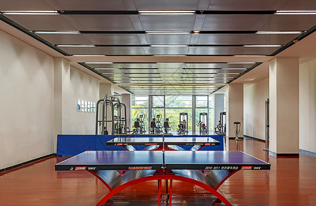 体育馆室内宽敞明亮的健身房背景