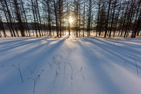 阿尔山的冰雪荒原图片