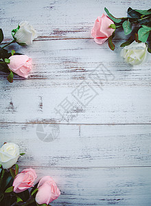 粉白玫瑰鲜花文字素材高清图片
