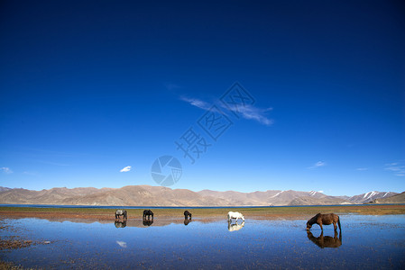 雷波马湖西藏风光背景