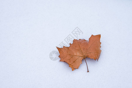 冬天雪地纹理素材背景图片