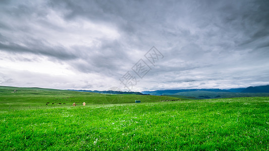 乌云白云新疆喀拉峻大草原背景