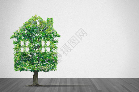 房子形状的绿树作为房地产的概念背景图片