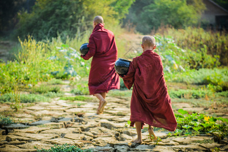 红色文化旅游缅甸小僧侣外出化缘背景