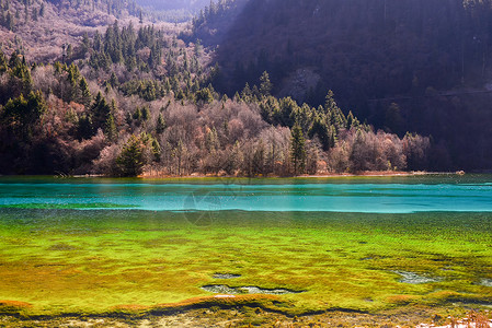 优山美墅九寨沟五花海子自然美景背景