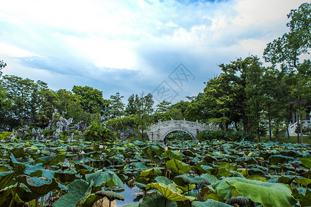 中国风廉洁内容挂画城市中国风古石板桥自然风光背景背景