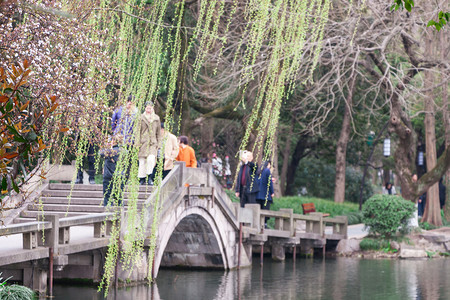 西湖背景图片