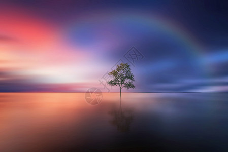 玻璃胶风惊蛰节气海报风雨后的彩虹背景