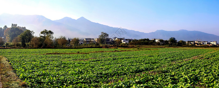 南屏步行街安徽南屏村背景