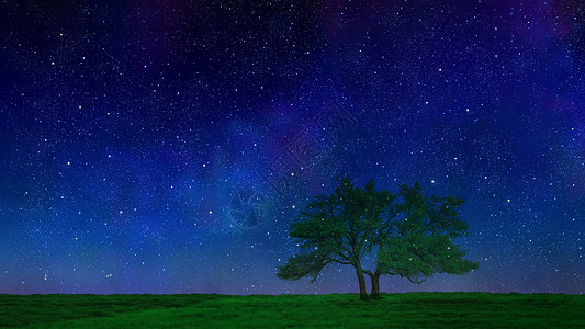 蓝色大树素材星空下的树背景
