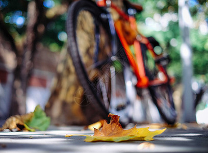 街头停放的自行车背景图片