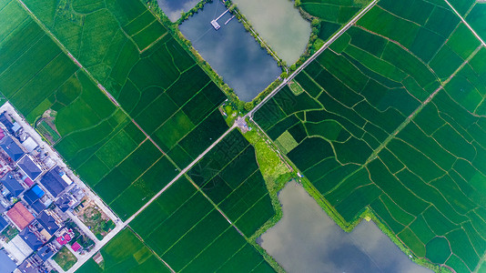 绿色几何特效垂直拍摄的农田背景