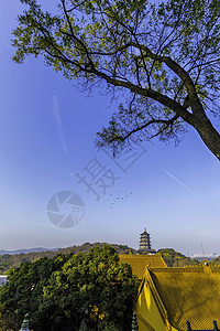 幽静窗外风景南屏晚钟背景