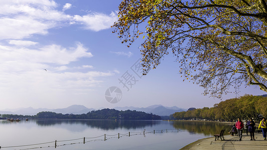 阳光湖边西湖秋色背景