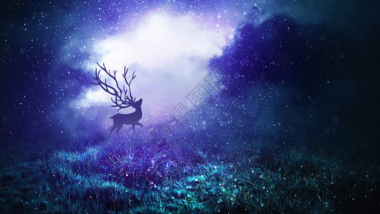 鹿影森林迷雾与麋鹿设计图片
