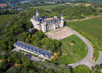 葡萄田风光欧式建筑城堡背景