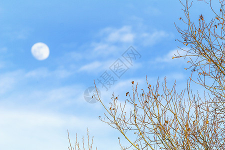 月与云中秋节月亮背景