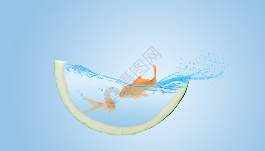 水中锦鲤鱼健康生态环境设计图片