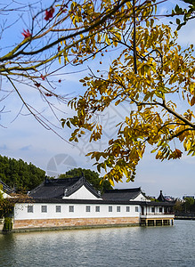 古风湖面素材上海松江广富林遗址秋色风光背景