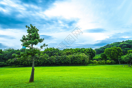广州莲花山城市草地绿化树林云朵天际线背景