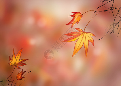 手绘树枝手绘秋设计图片