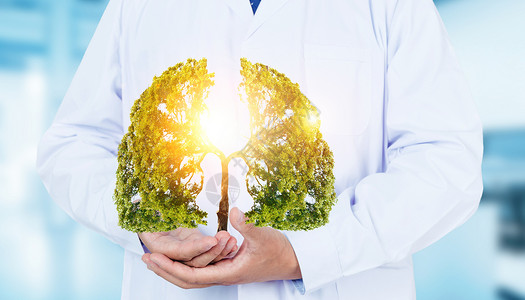 健康环保背景医生手托着肺形状的树设计图片