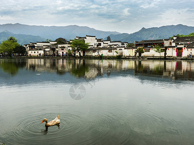 春江花暖鸭先知宏村背景图片