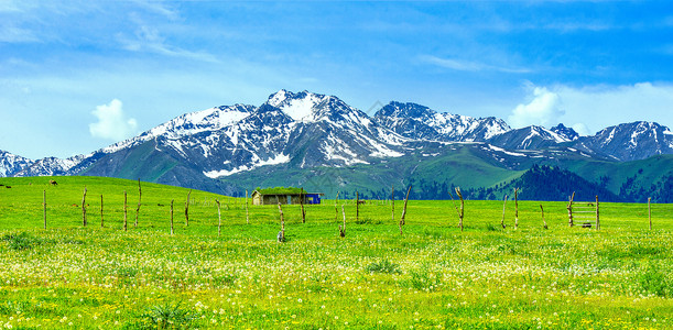 雪山草原风景高清图片
